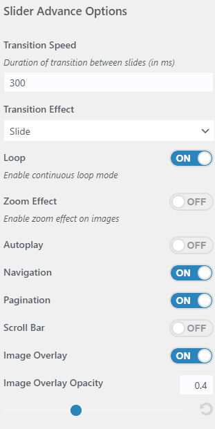 Advance Slider Options